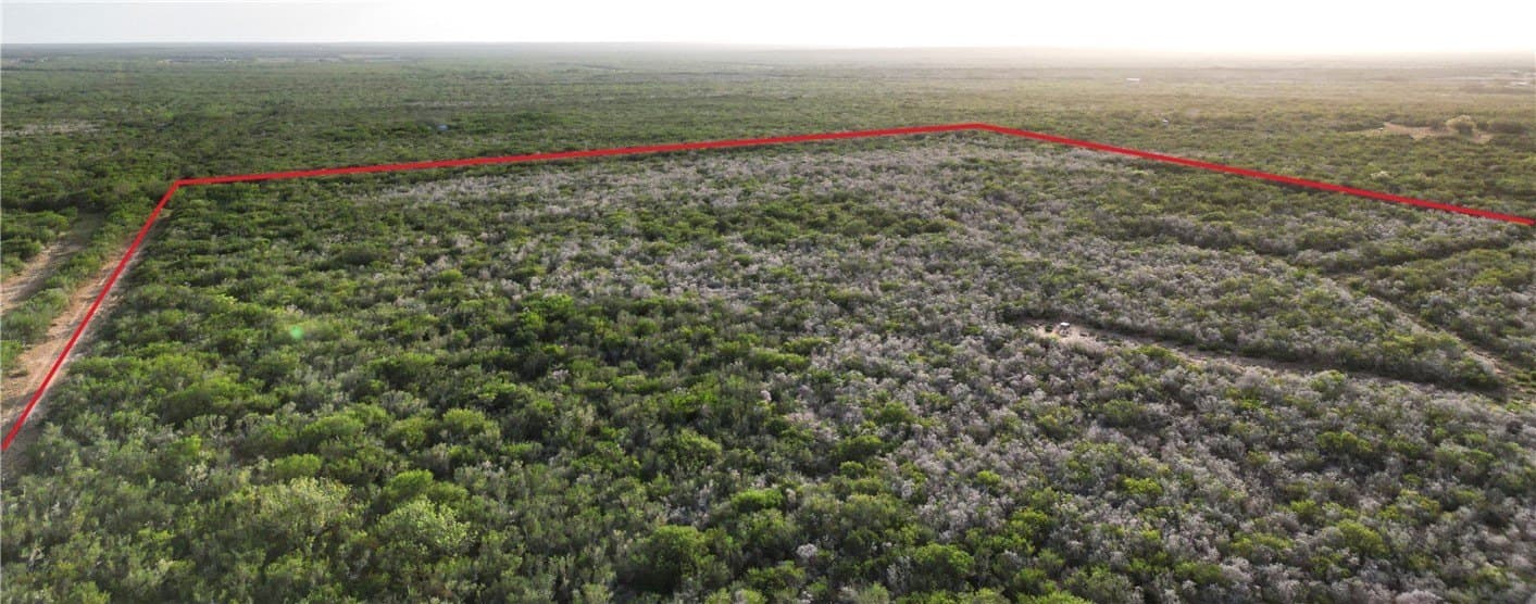 18.03 acres in Duval County gallery image 2