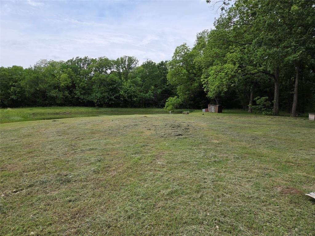 34.93 acres in Fannin County gallery image 2