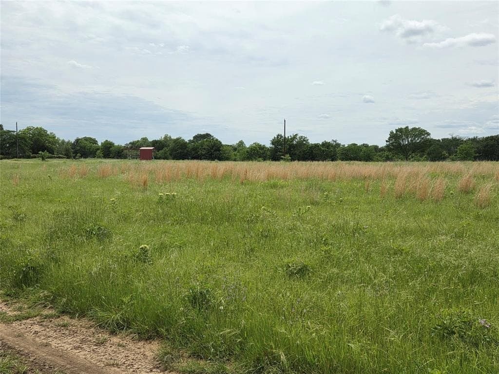 34.93 acres in Fannin County gallery image 4