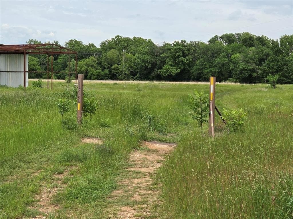 34.93 acres in Fannin County featured view