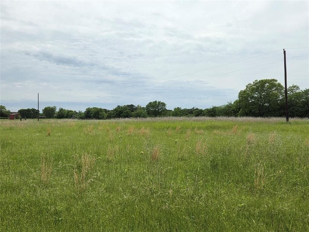 34.93 acres in Fannin County gallery image 3