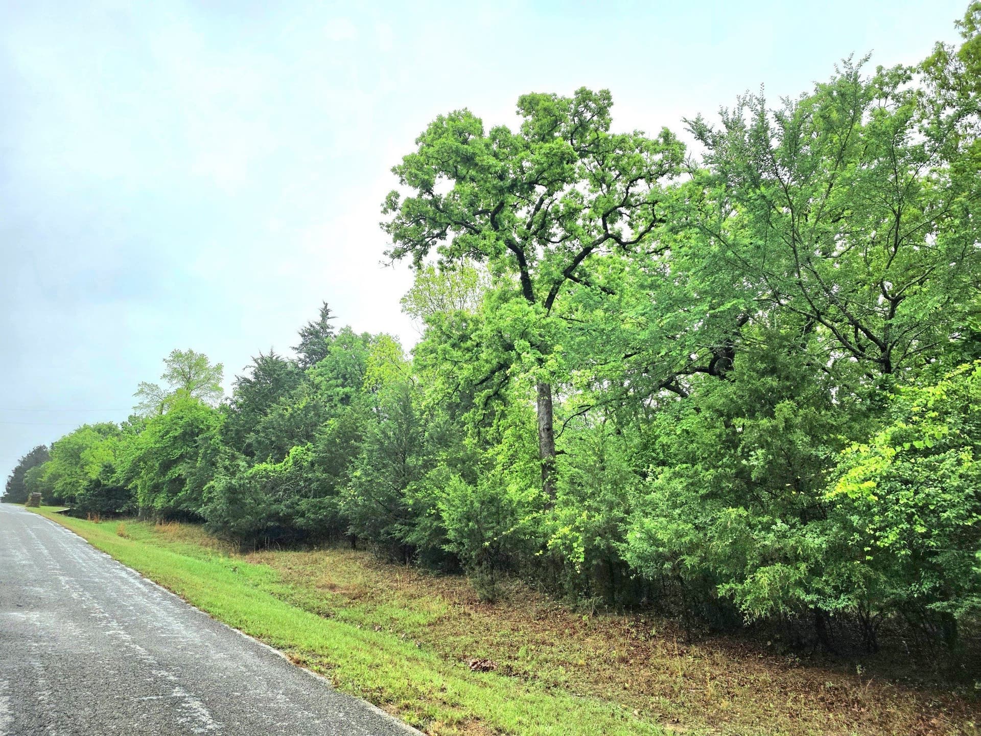 5.02 acres in Henderson County - photo 39