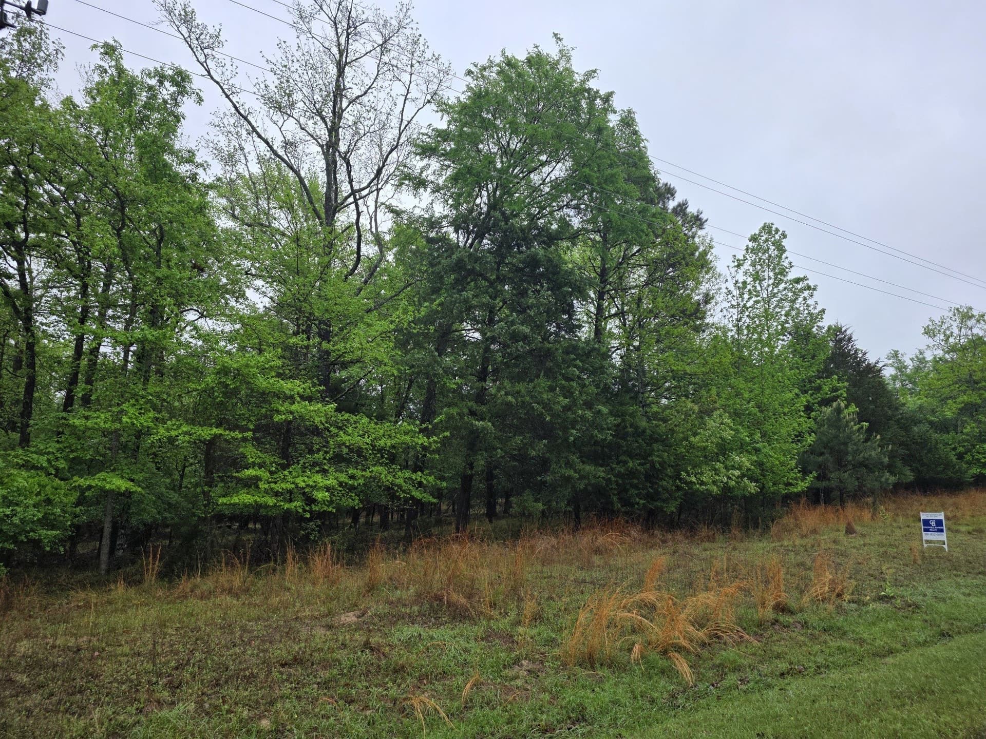 5.02 acres in Henderson County - photo 24