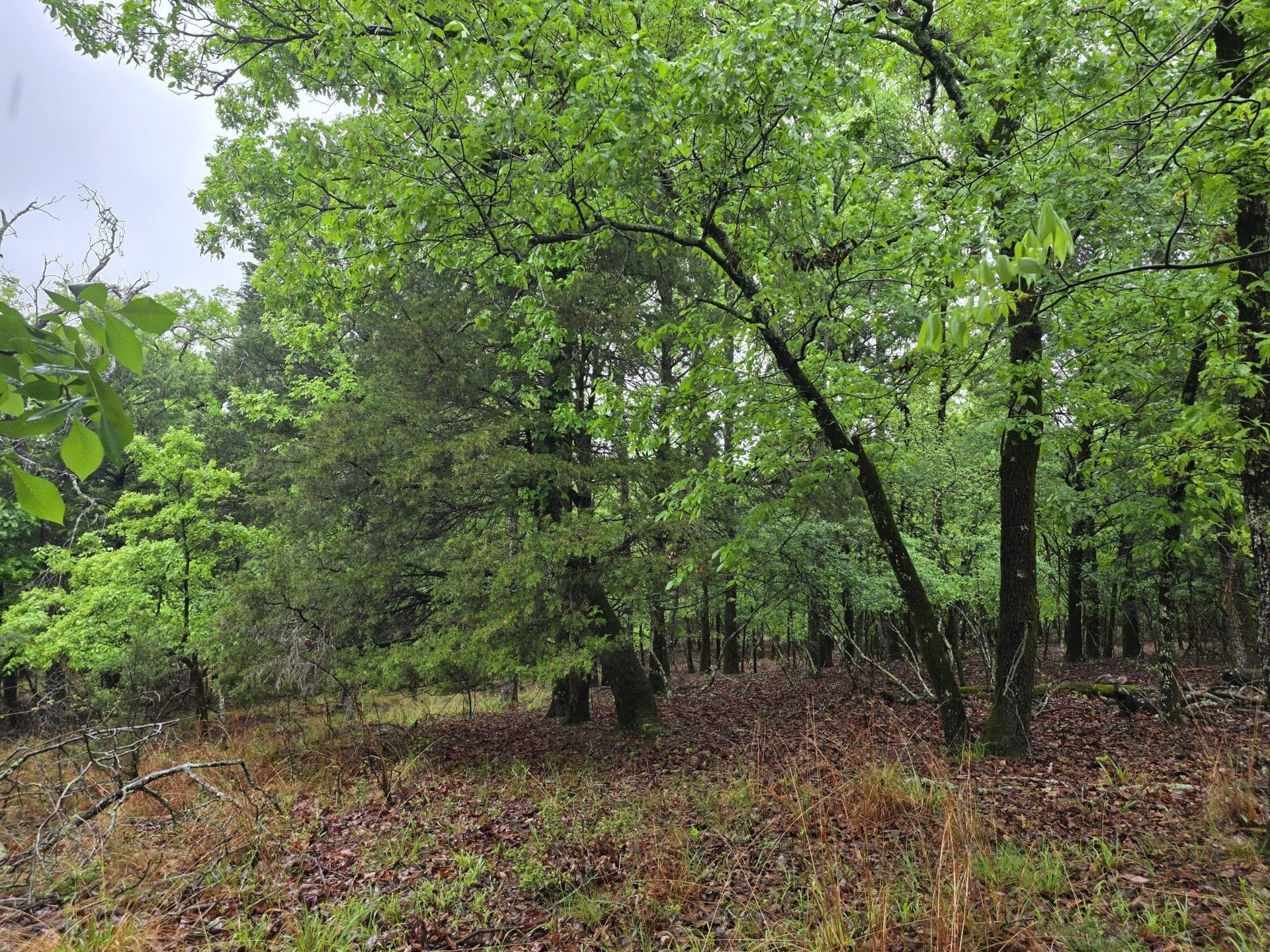 5.02 acres in Henderson County - photo 34