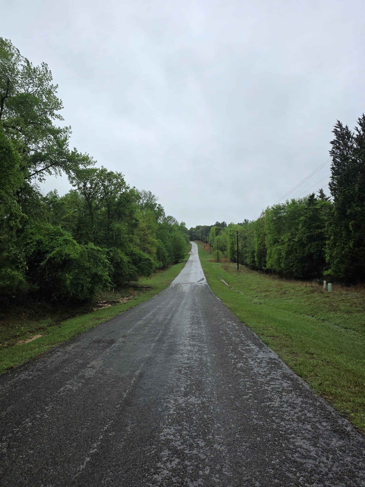5.02 acres in Henderson County - photo 27