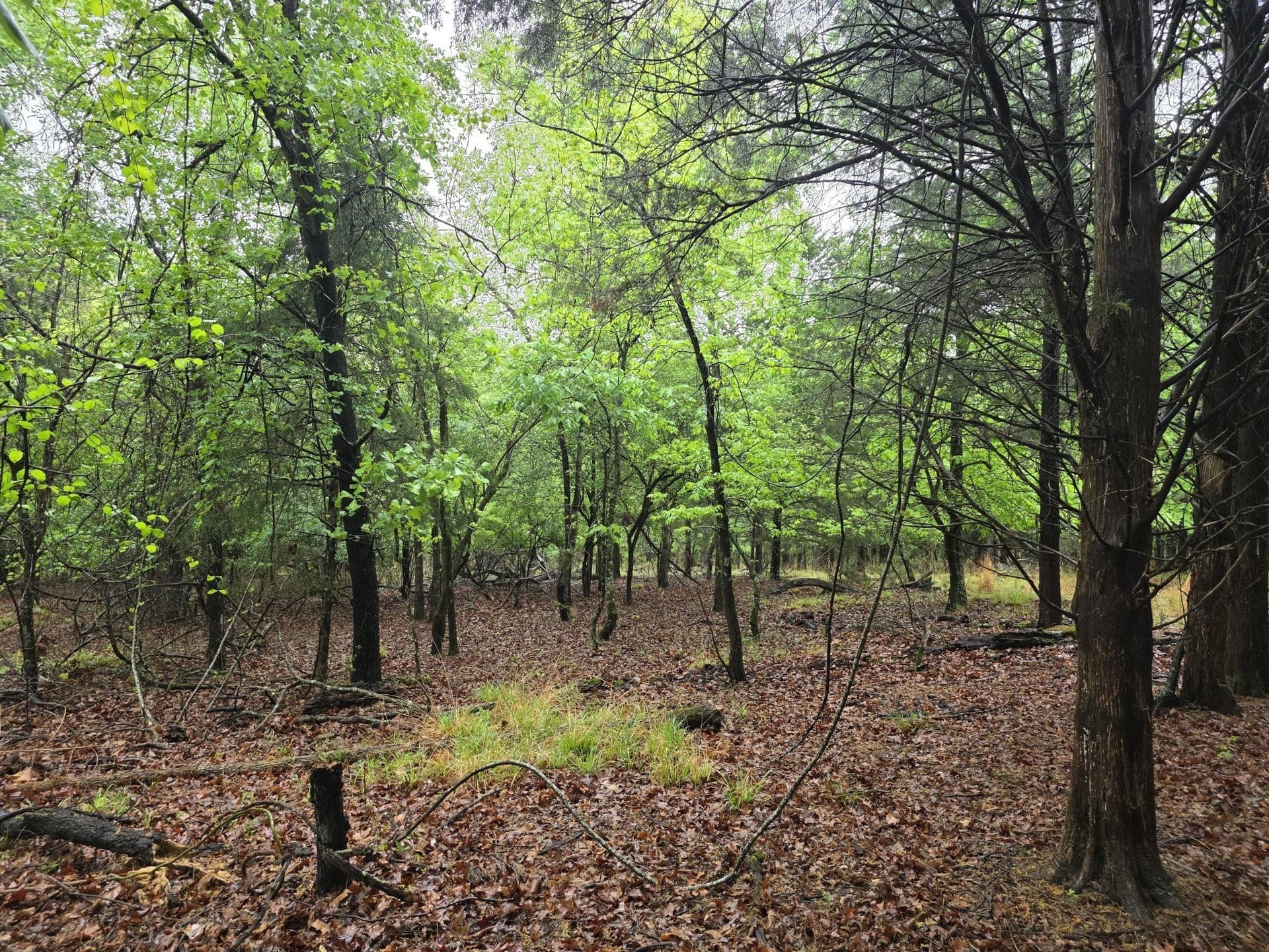 5.02 acres in Henderson County - photo 23