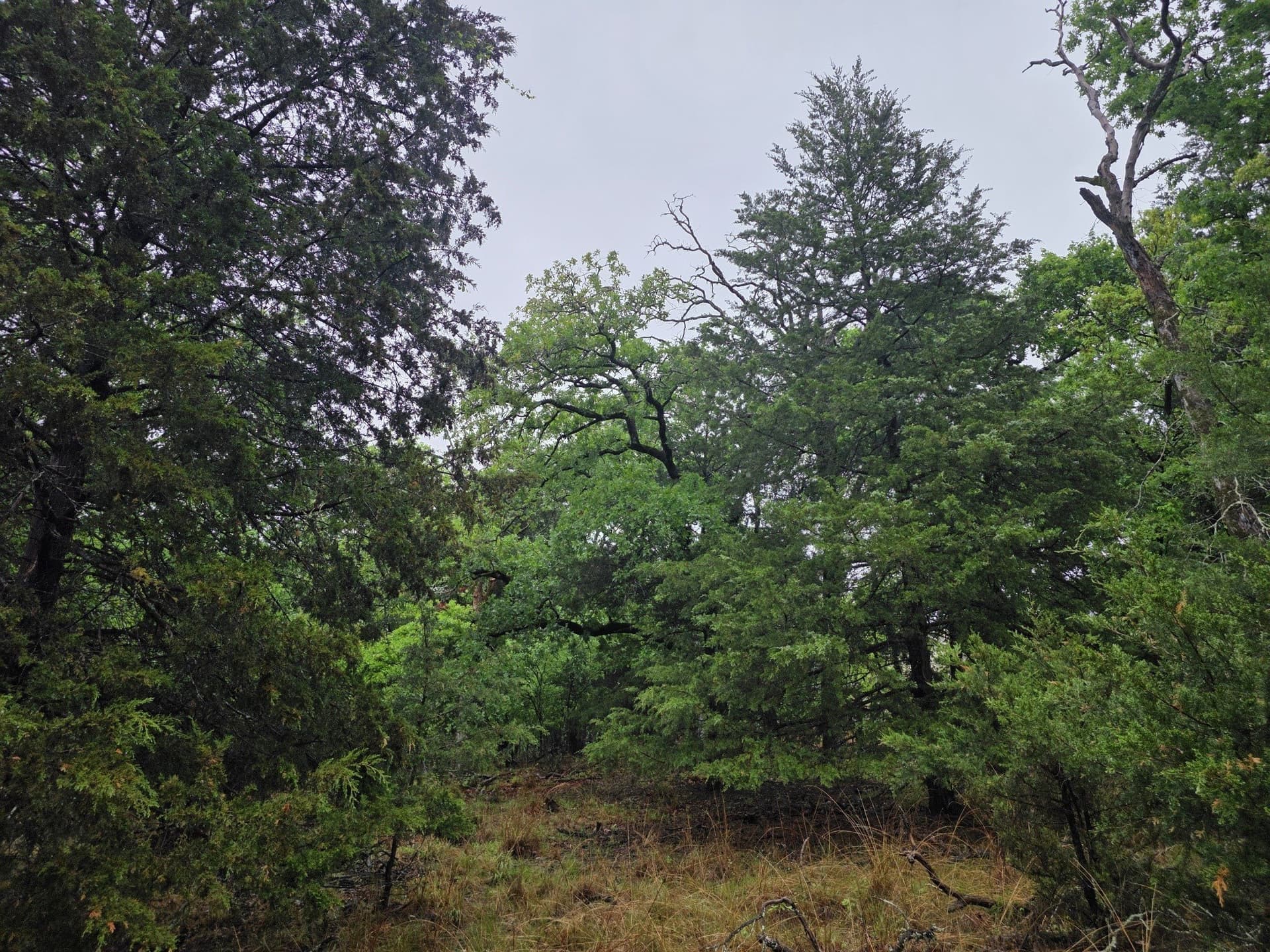 5.02 acres in Henderson County - photo 31