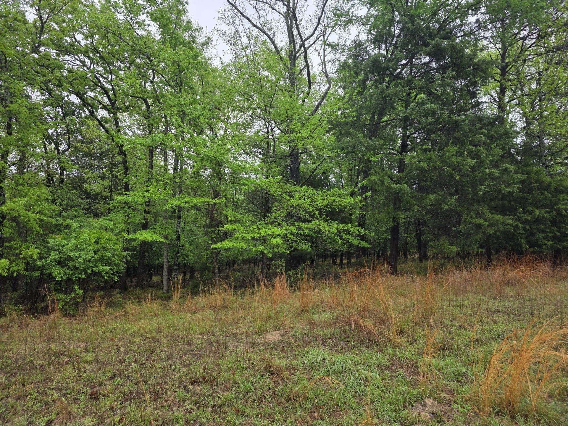 5.02 acres in Henderson County - photo 38