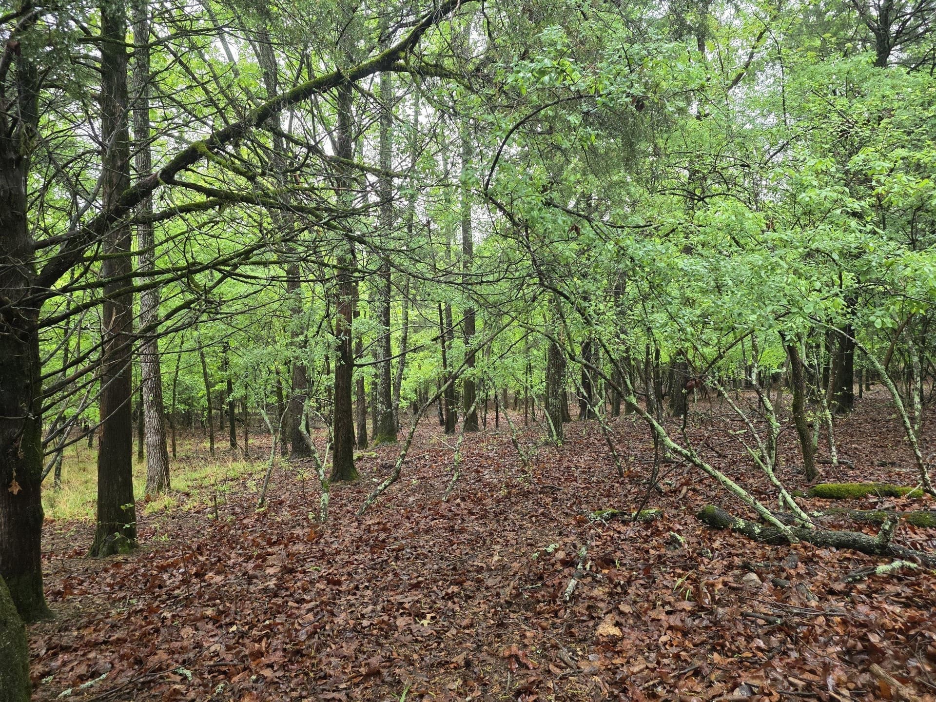 5.02 acres in Henderson County - photo 35