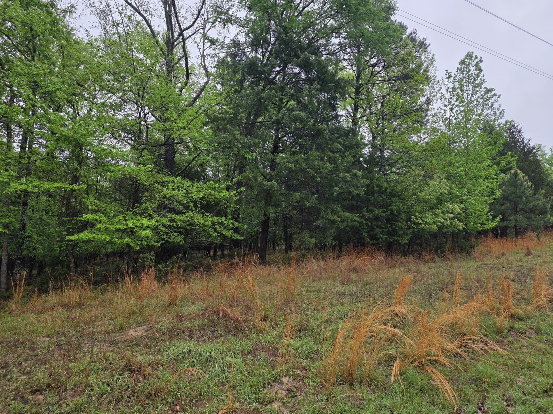 5.02 acres in Henderson County - photo 3