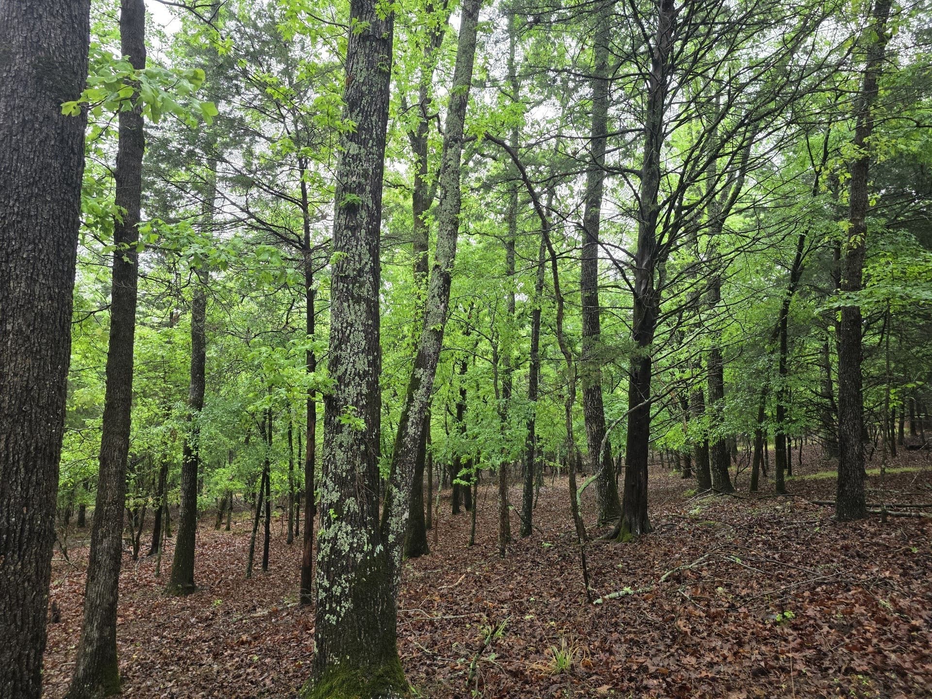 5.02 acres in Henderson County