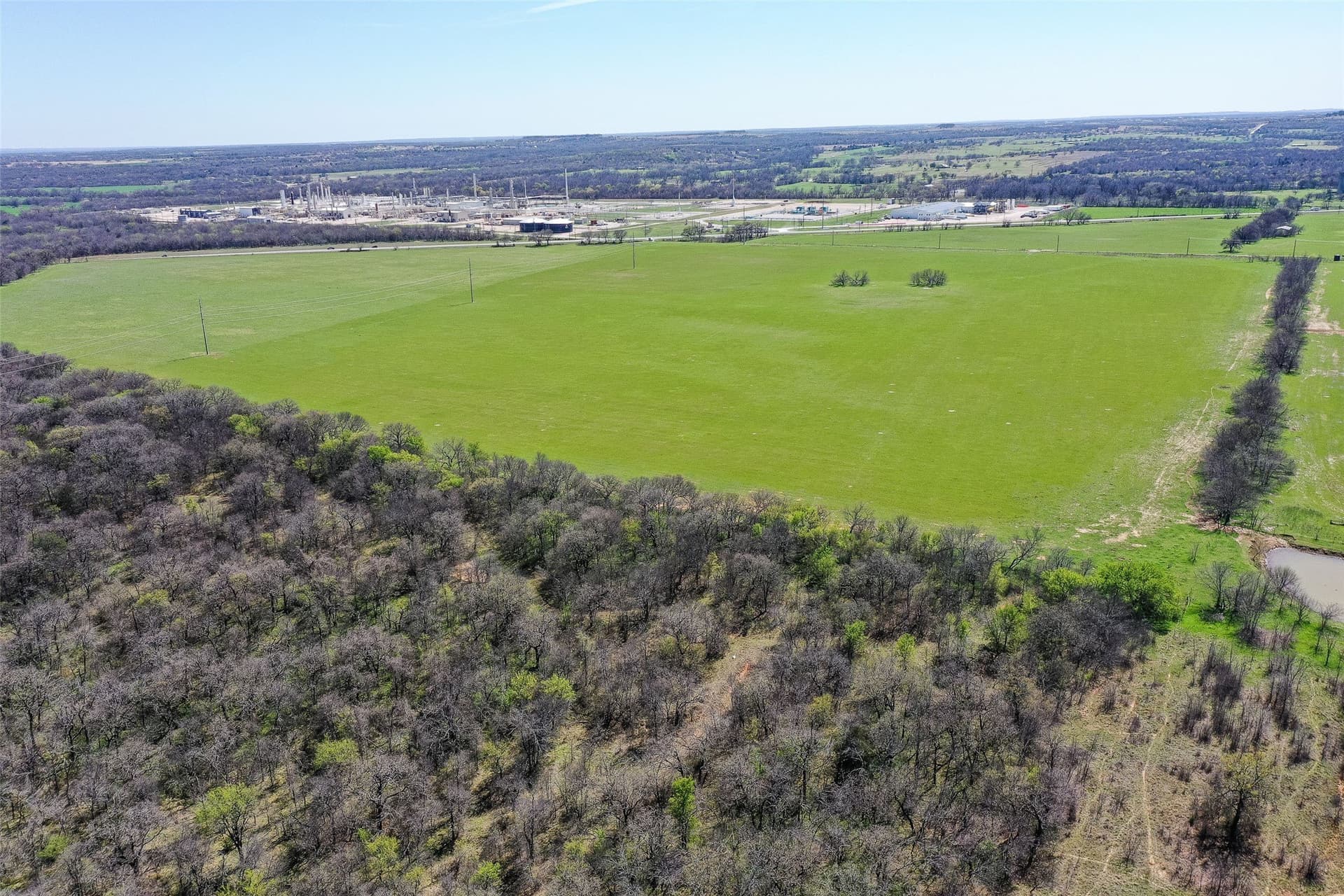 294 acres in Wise County - photo 5