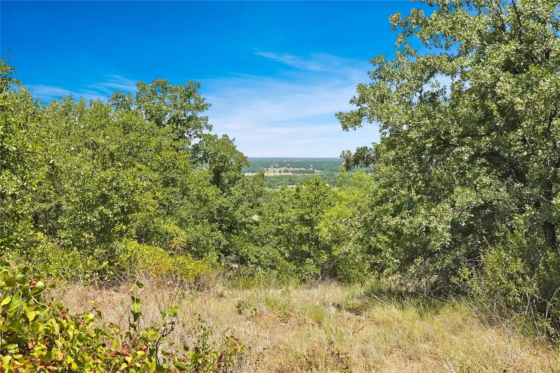 167.87 acres in Jack County - photo 23