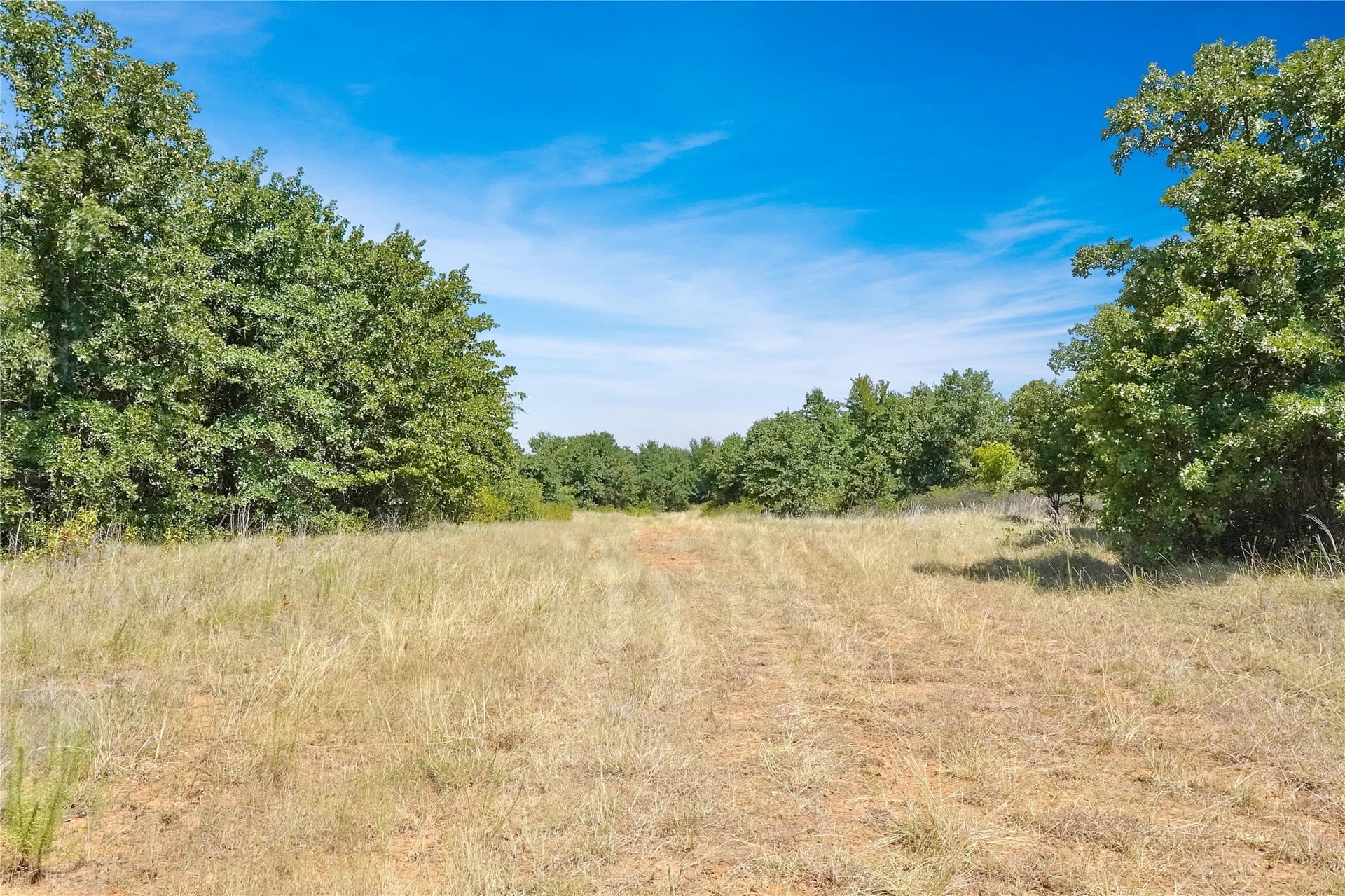 167.87 acres in Jack County - photo 17