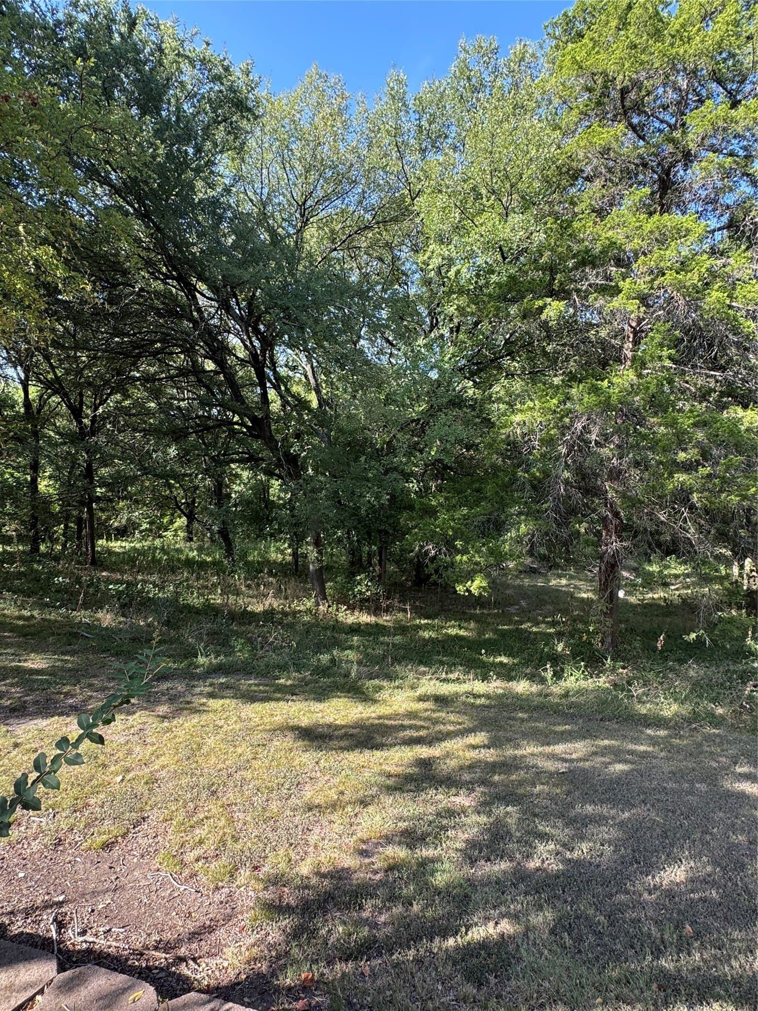 10 acres in Ellis County - photo 4