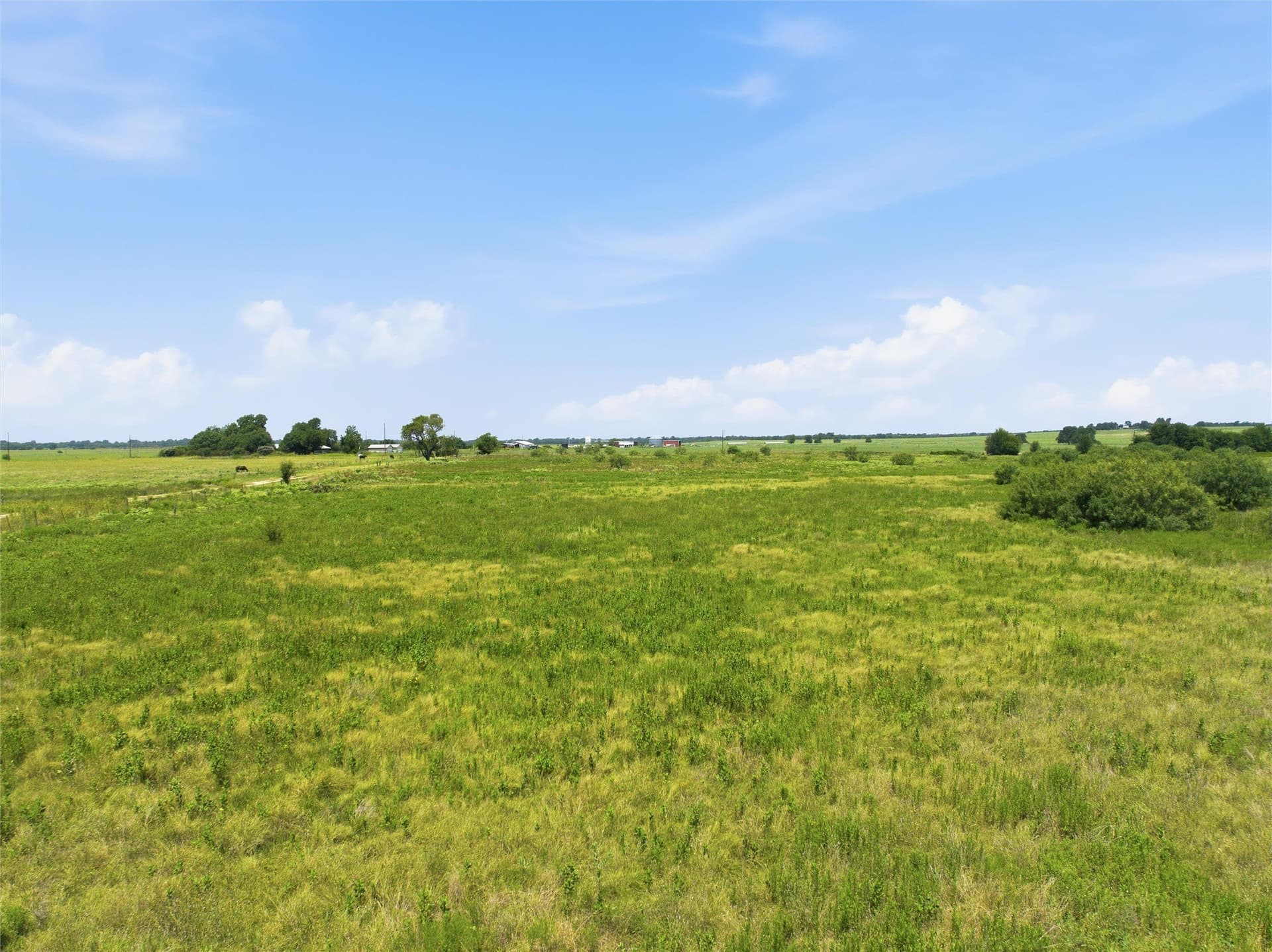 20 acres in Milam County - photo 3