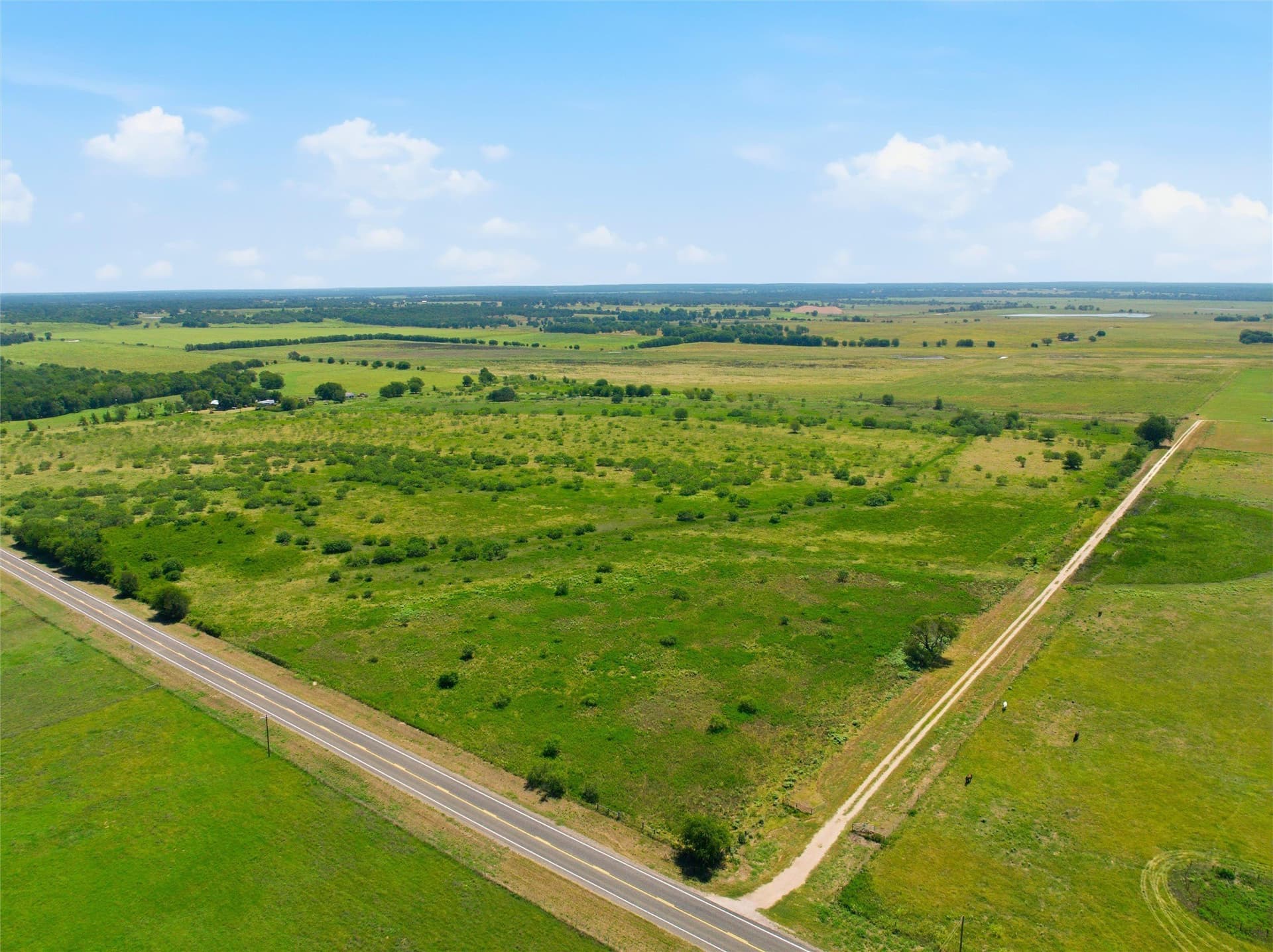 20 acres in Milam County - photo 8