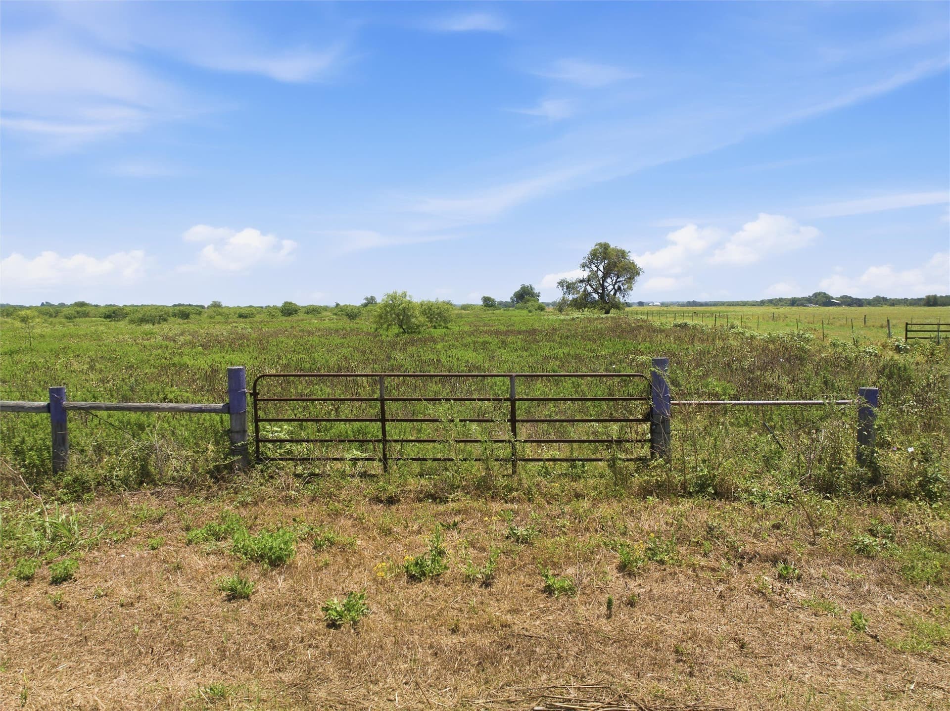 20 acres in Milam County - photo 2