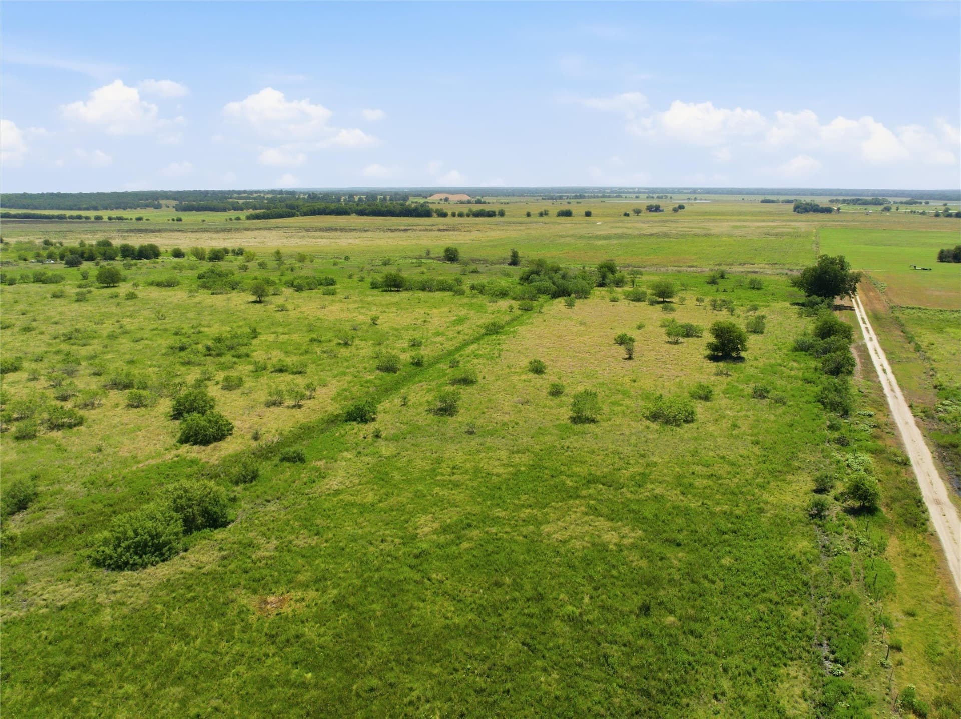 20 acres in Milam County - photo 4