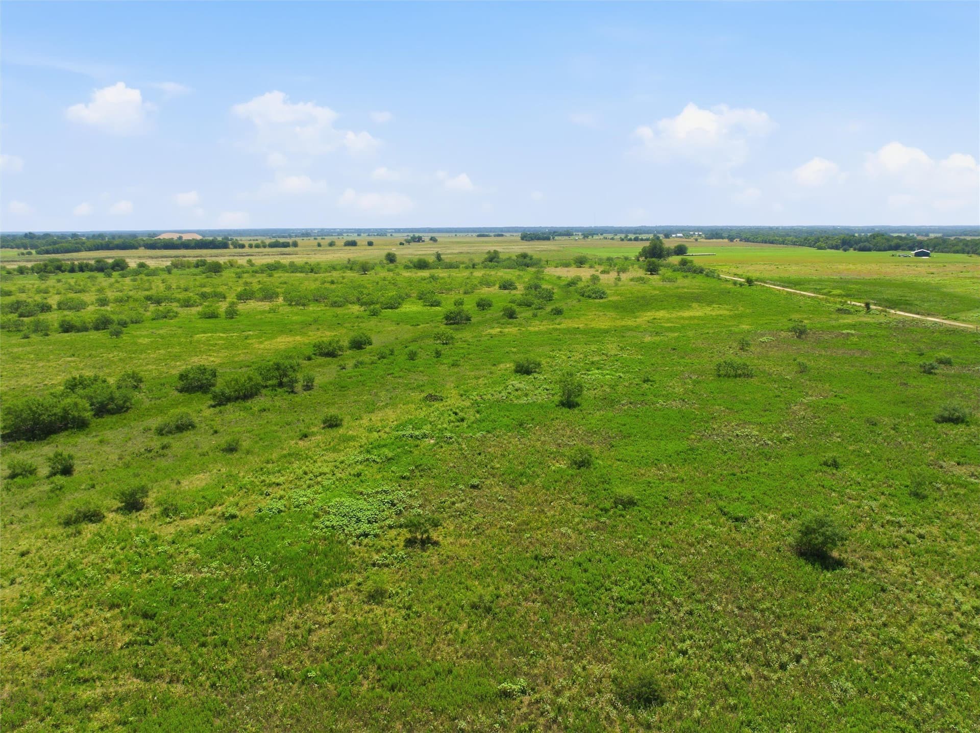 20 acres in Milam County - photo 10