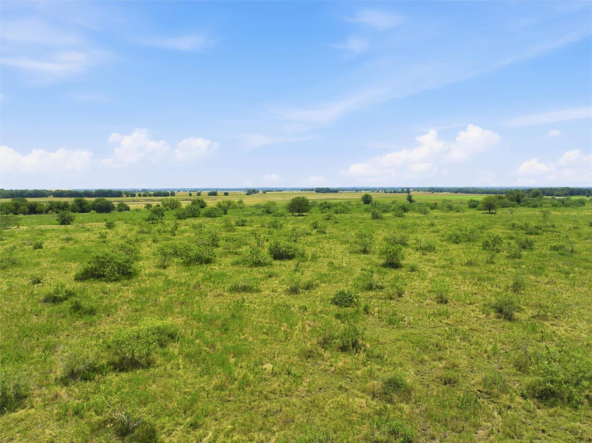 20 acres in Milam County - photo 9