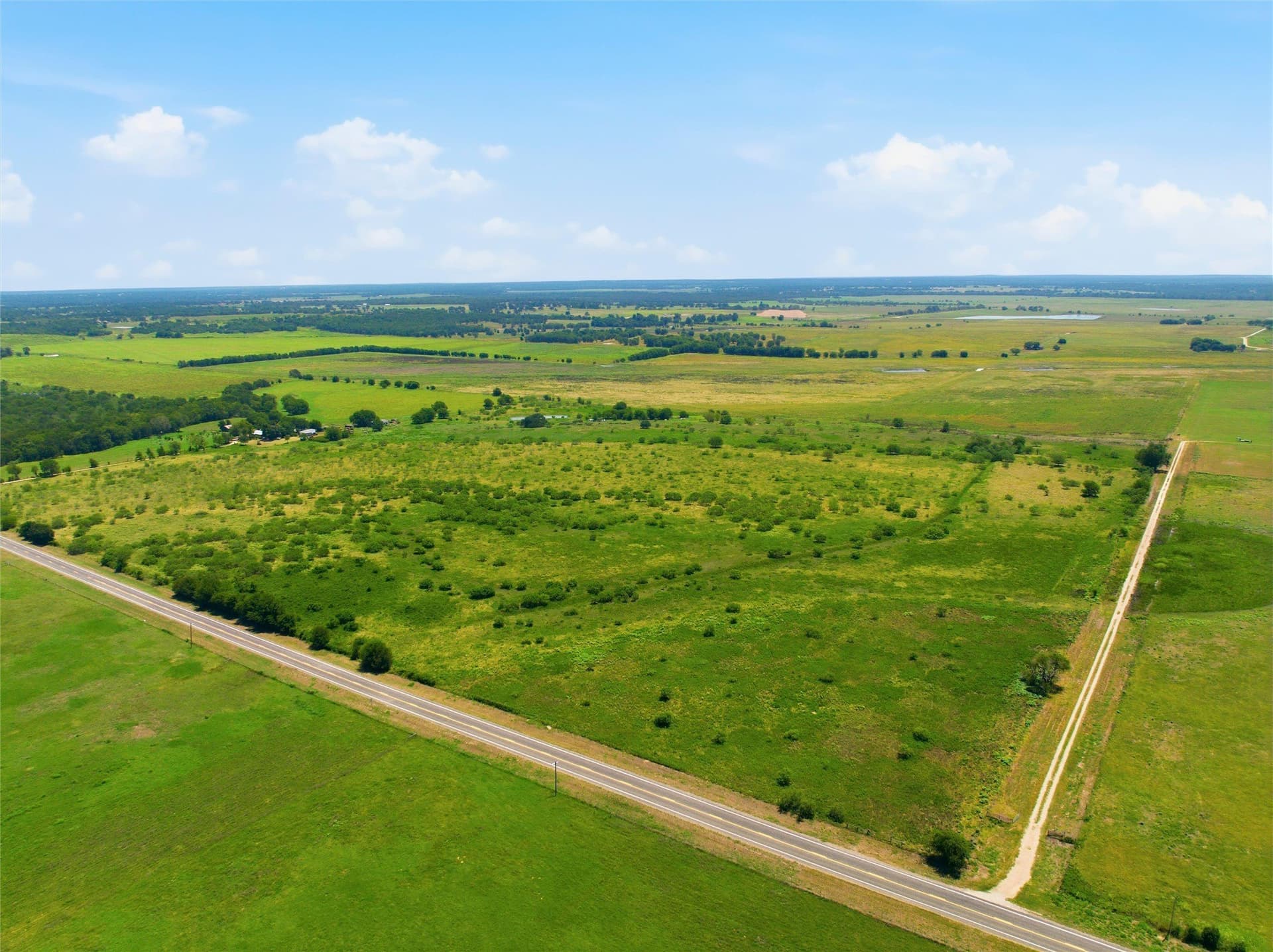 20 acres in Milam County - photo 6