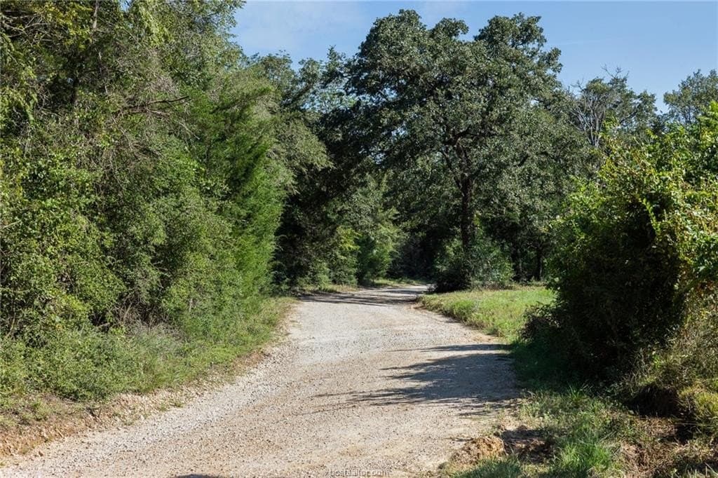 9.92 acres in Brazos County gallery image 3