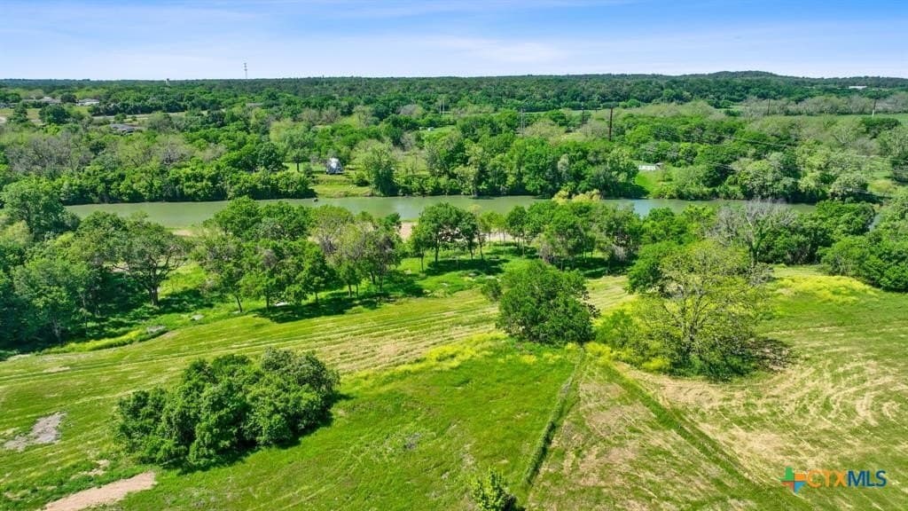 31.18 acres in Bastrop County gallery image 4