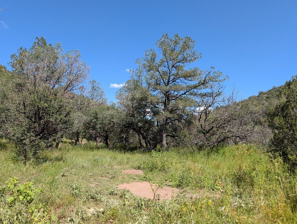 6.44 acres in Jeff Davis County featured view