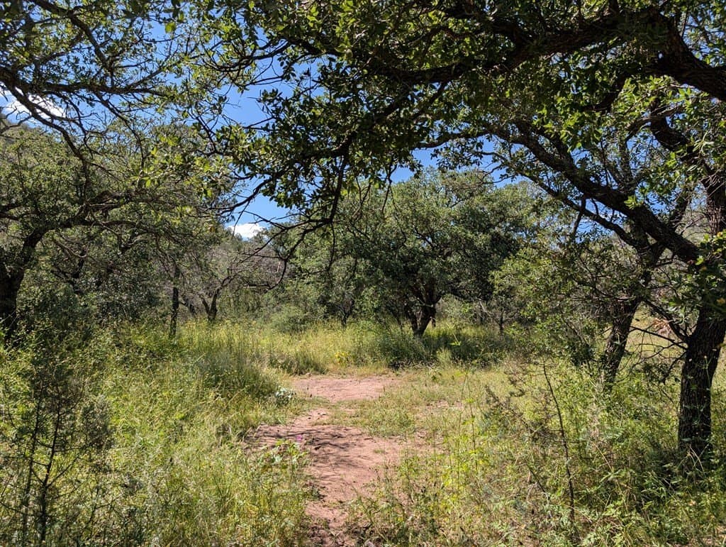 6.44 acres in Jeff Davis County gallery image 3