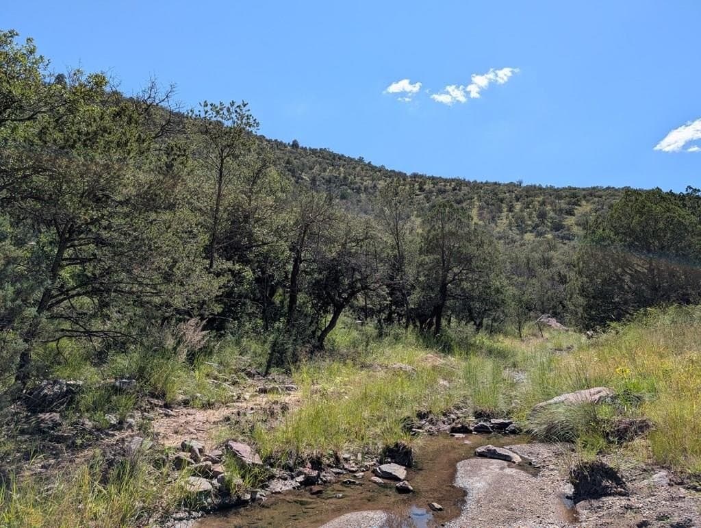 6.44 acres in Jeff Davis County