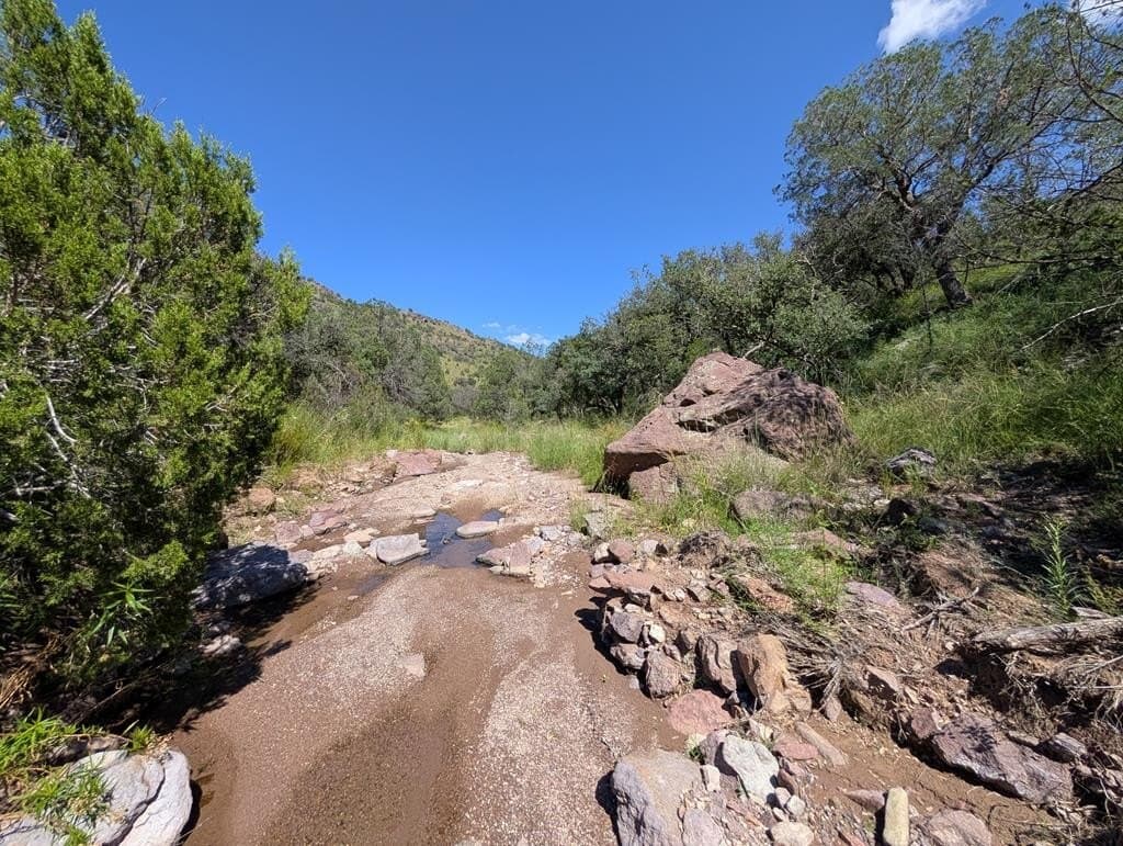 6.44 acres in Jeff Davis County gallery image 2