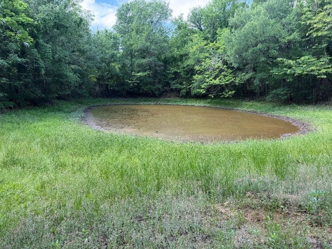 11 acres in Hill County - photo 8
