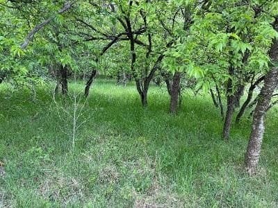 11 acres in Hill County - photo 2
