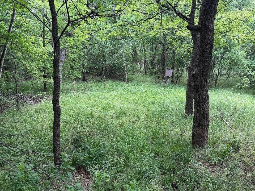 11 acres in Hill County - photo 9