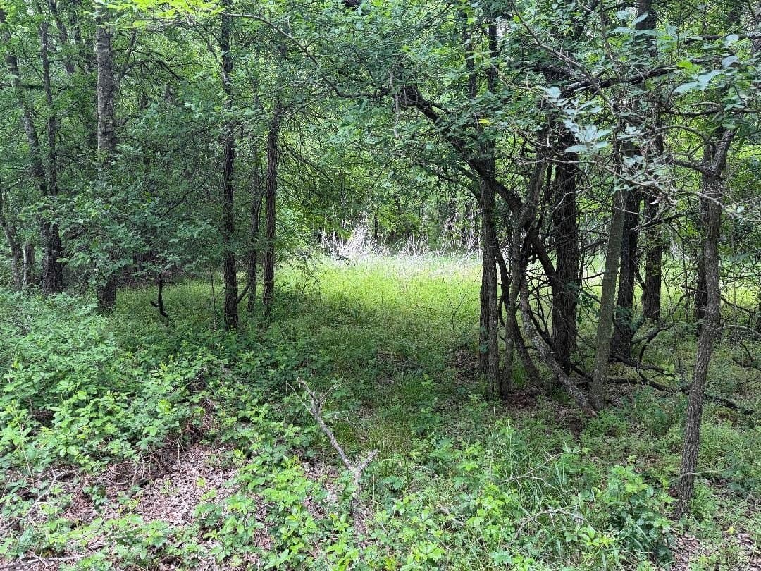 11 acres in Hill County - photo 10