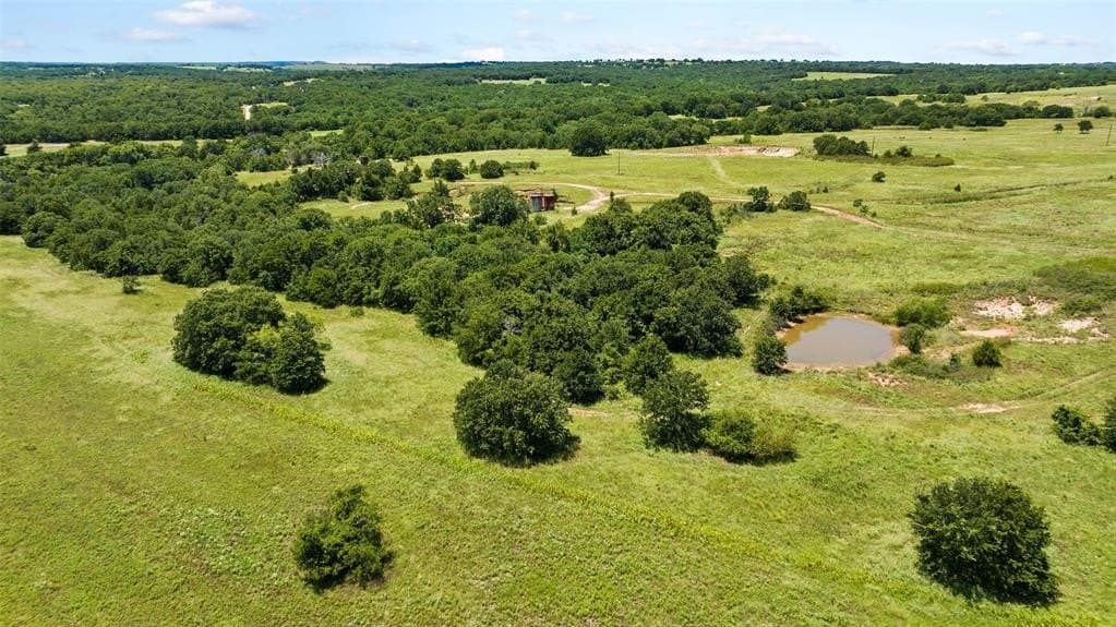 55.34 acres in Montague County gallery image 4