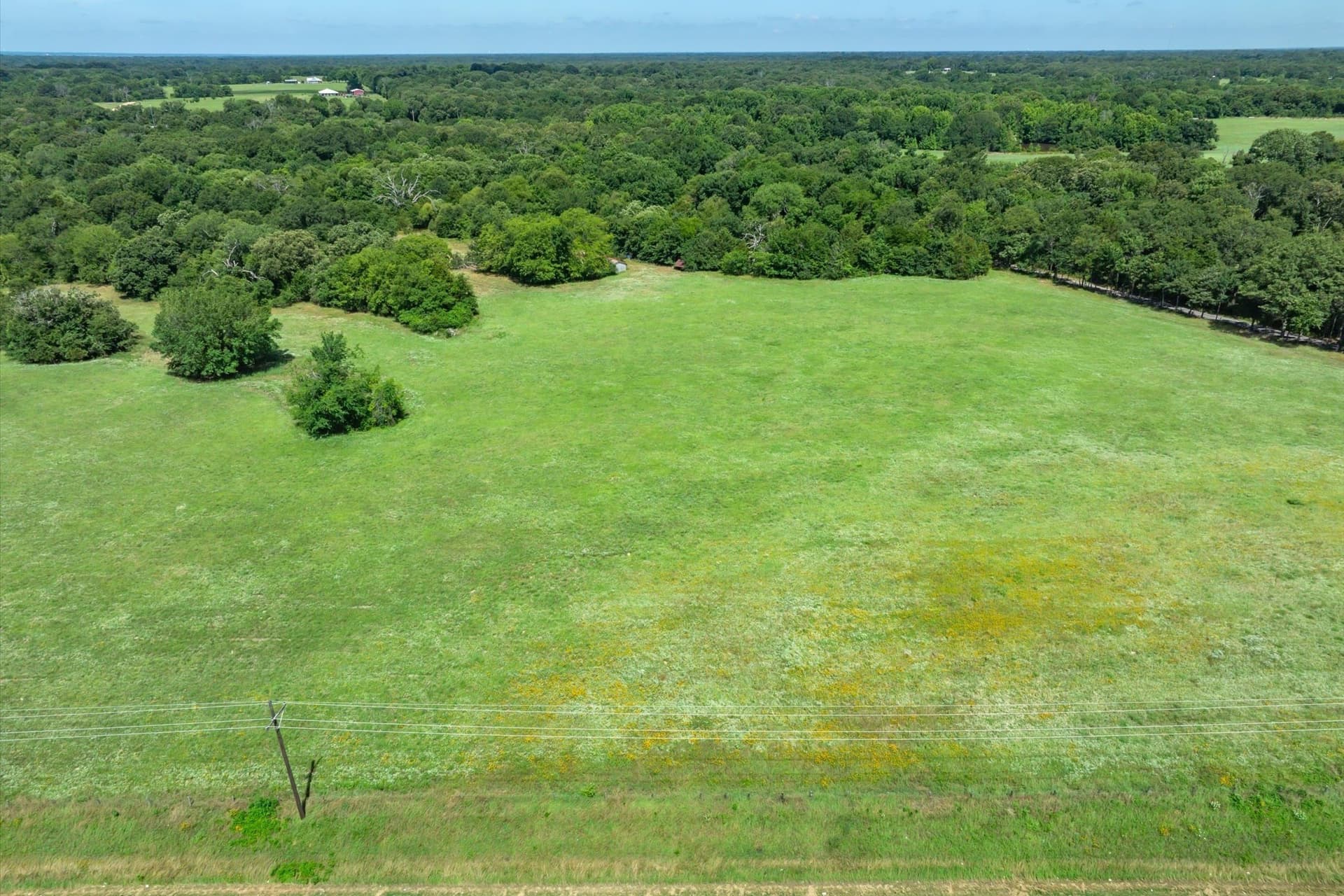2.25 acres in Rains County - photo 12