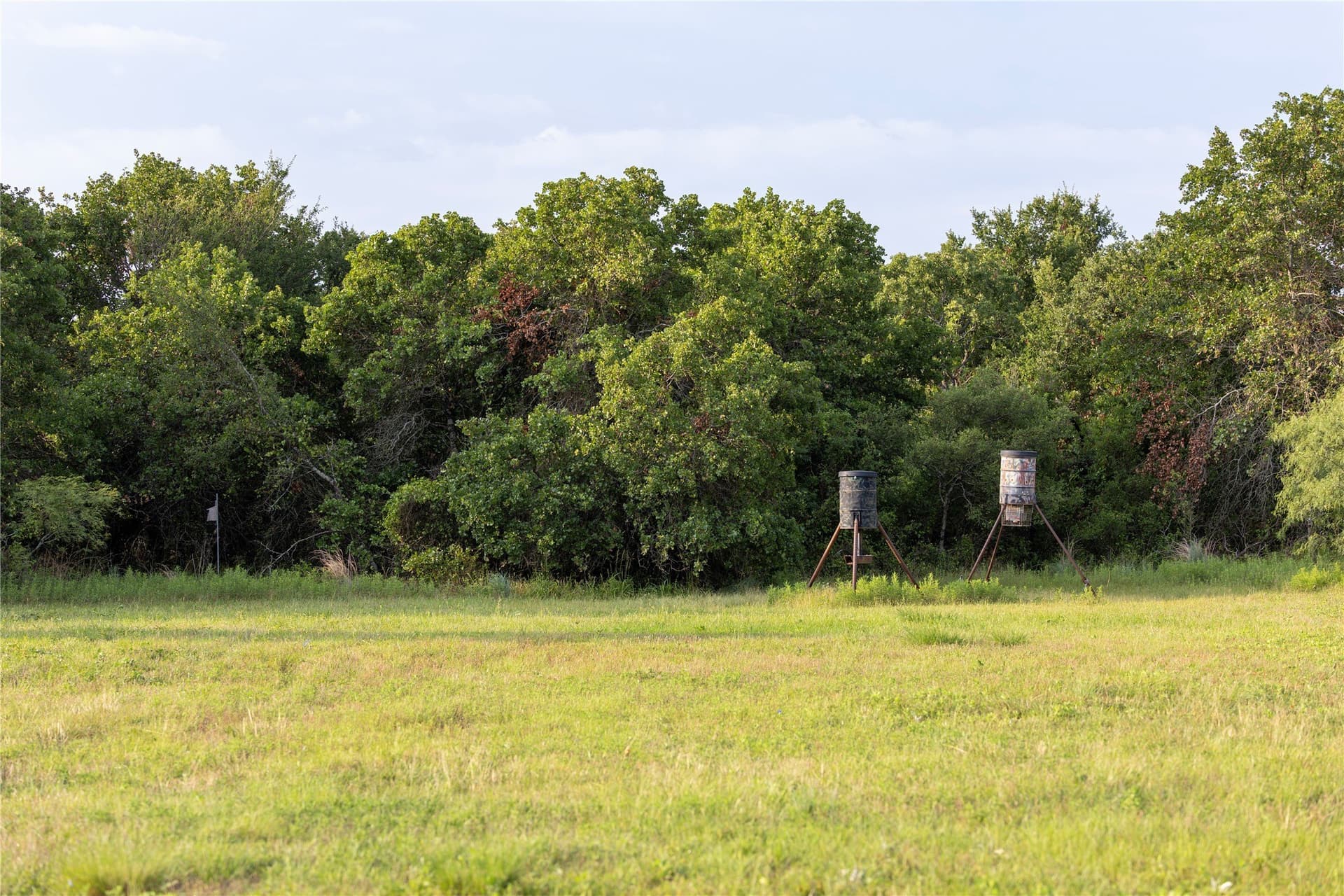 54 acres in Jack County - photo 38
