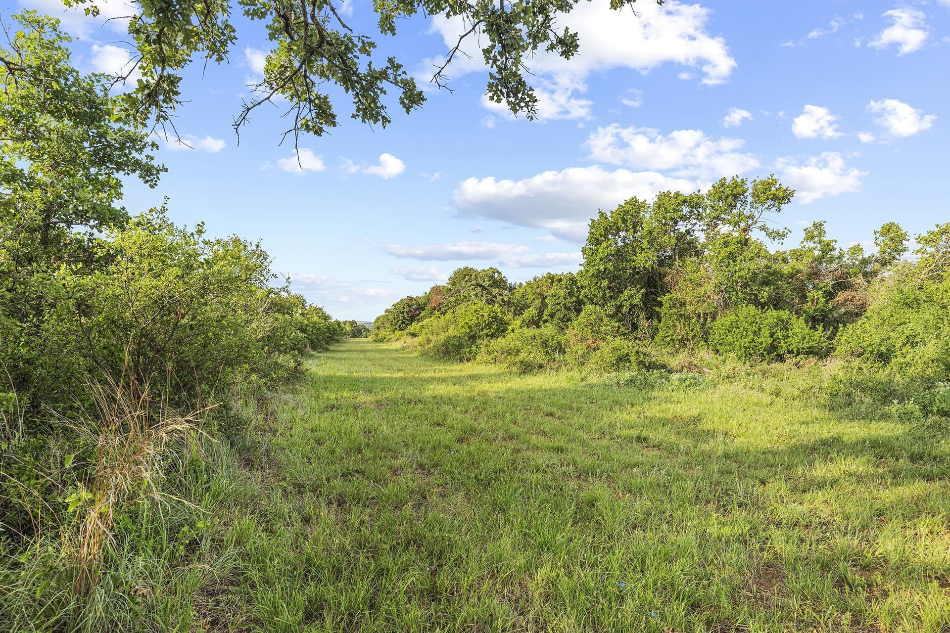 54 acres in Jack County - photo 8
