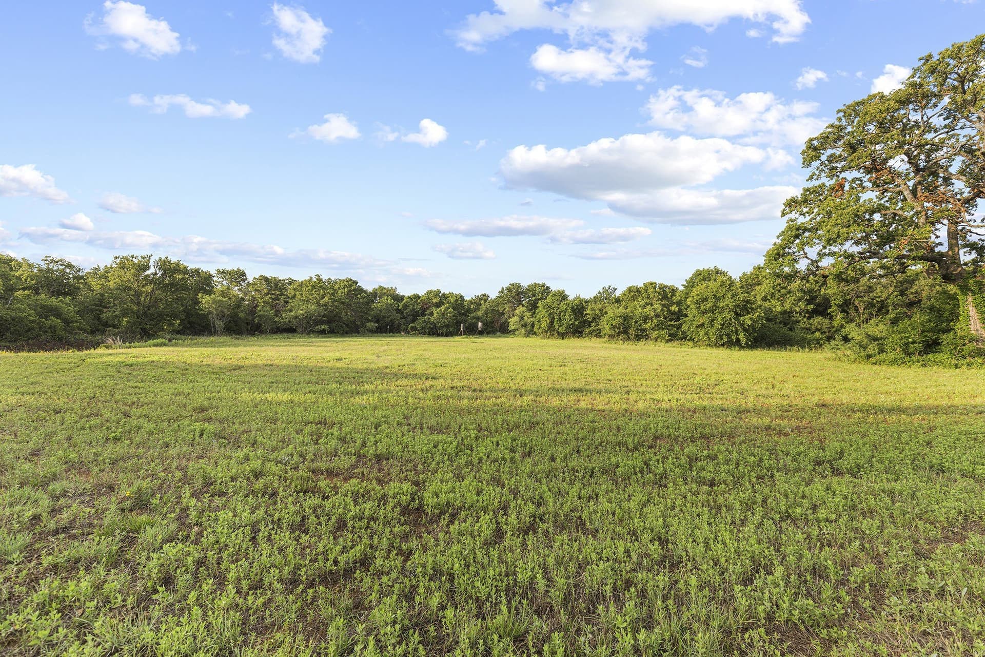 54 acres in Jack County - photo 7
