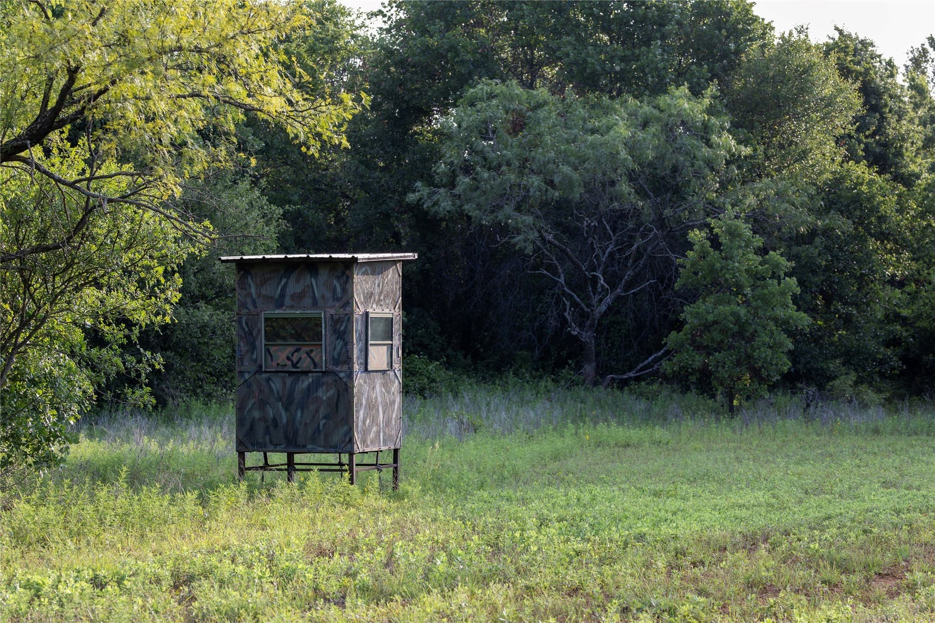 54 acres in Jack County - photo 6