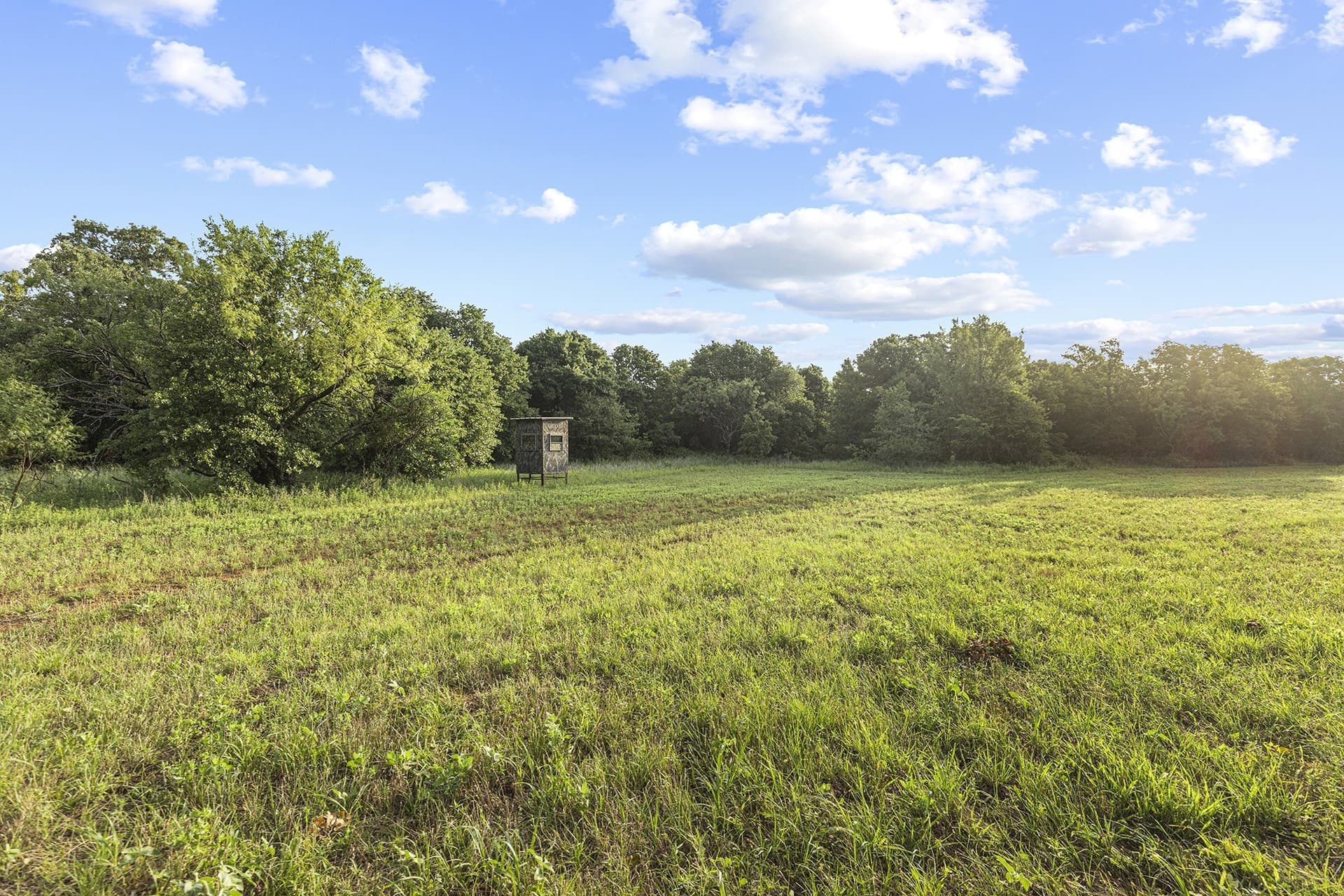 54 acres in Jack County - photo 5
