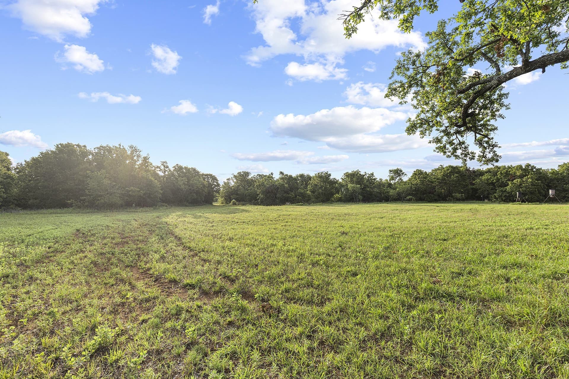 54 acres in Jack County - photo 3