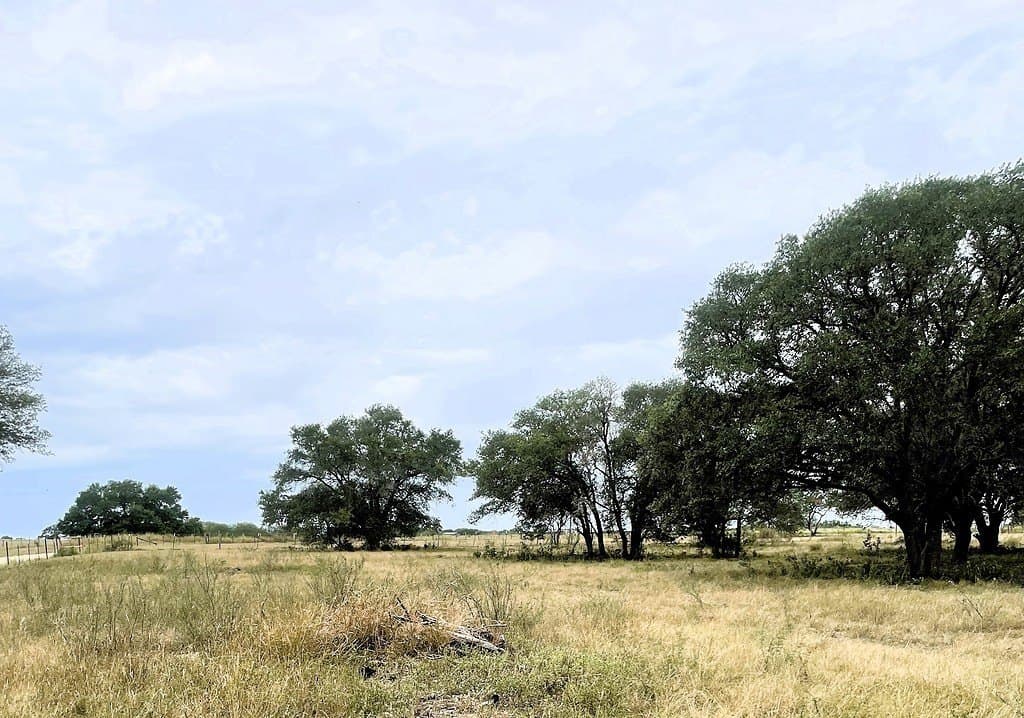 15.6 acres in Lavaca County gallery image 2