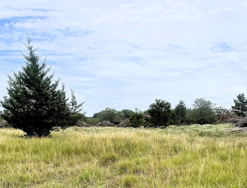 15.6 acres in Lavaca County gallery image 3