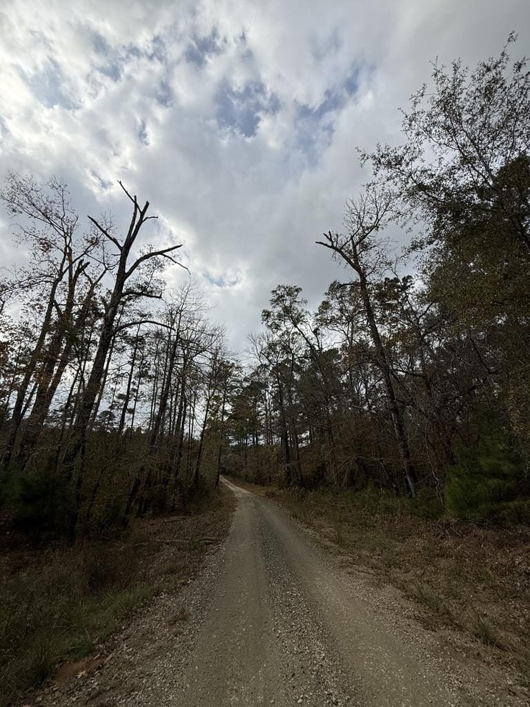 42.54 acres in Texas County - photo 8
