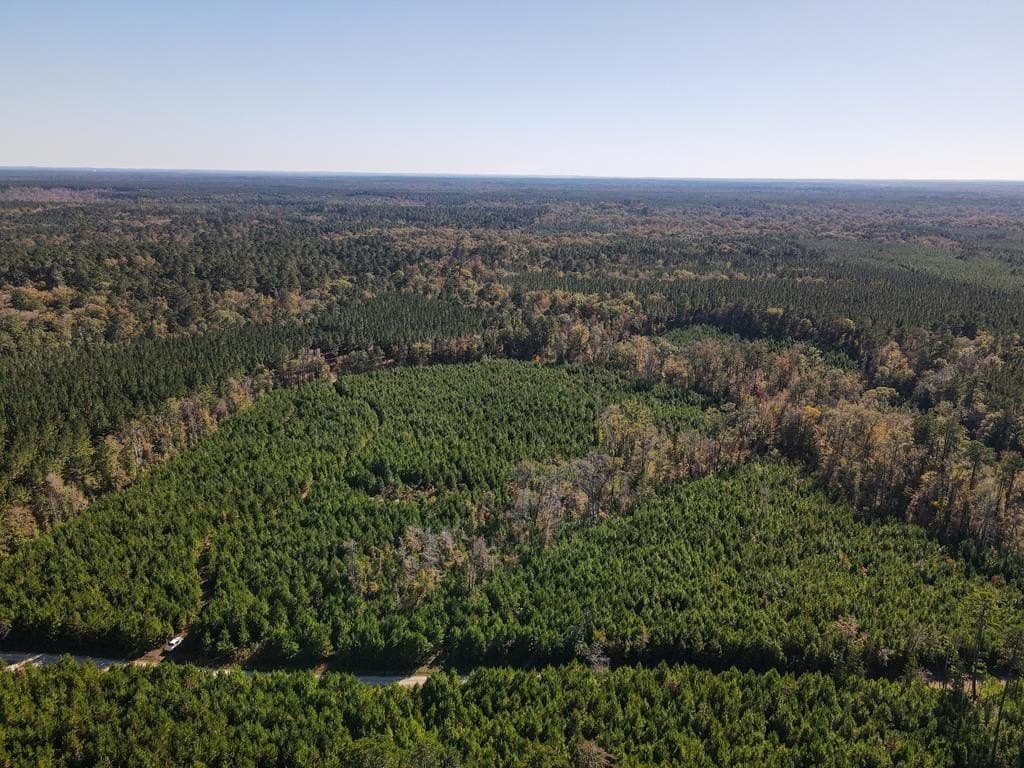 42.54 acres in Texas County - photo 7