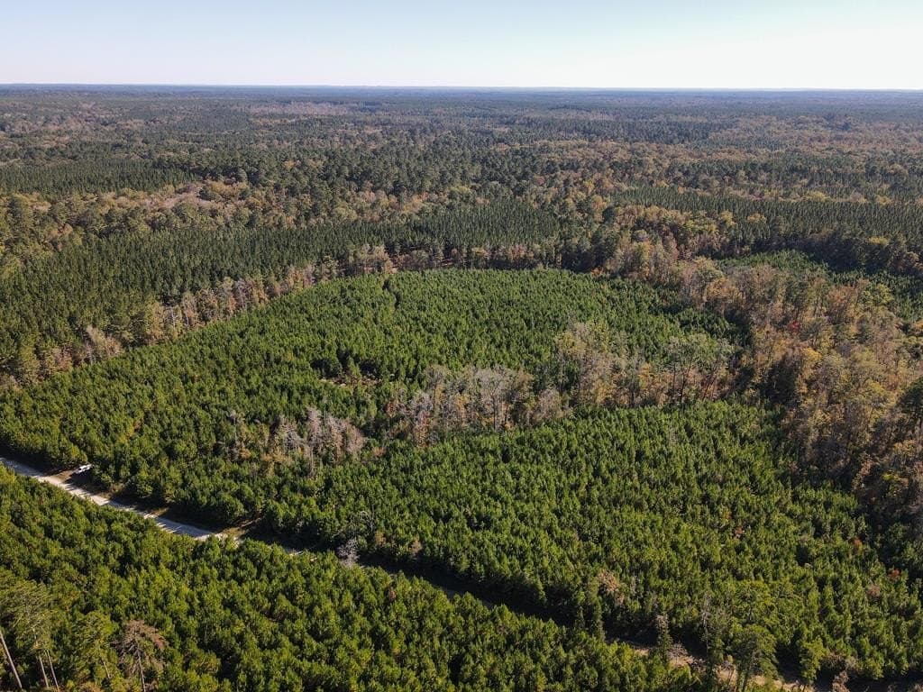 42.54 acres in Texas County gallery image 4
