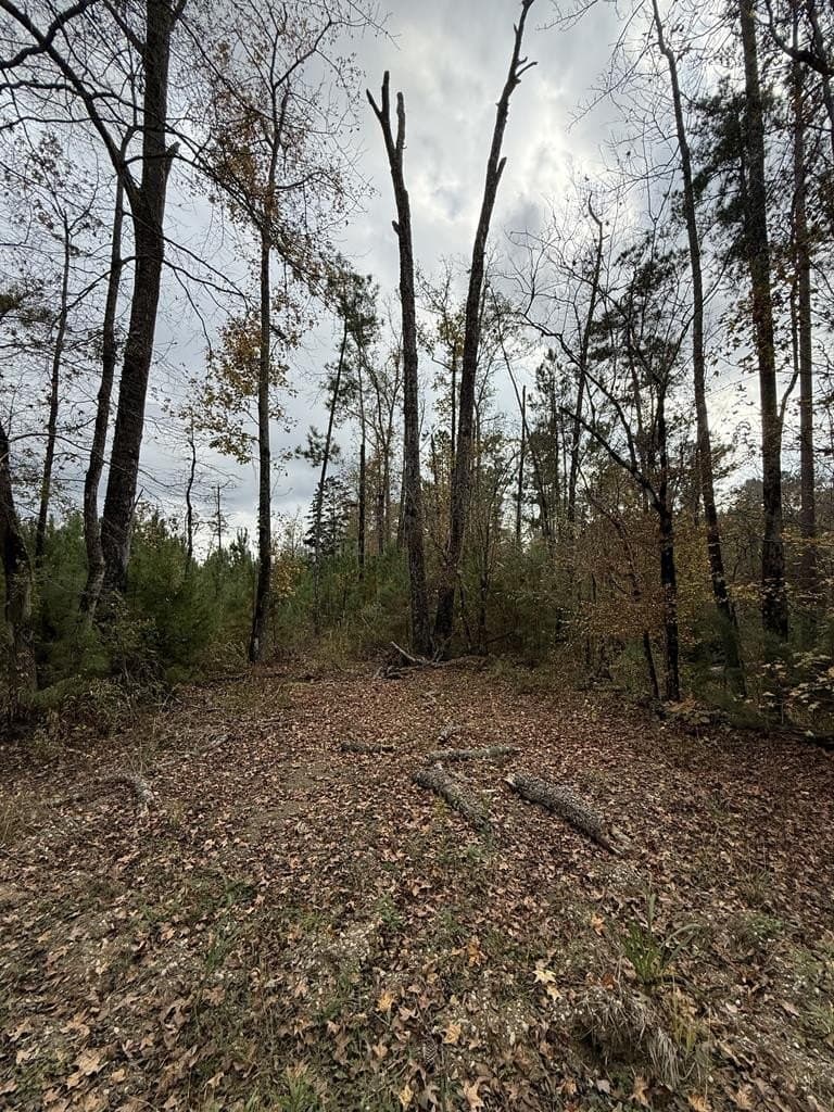 42.54 acres in Texas County - photo 9